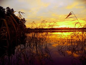 Scenic view of lake at sunset