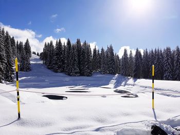 Scenic view of snow covered field against sky