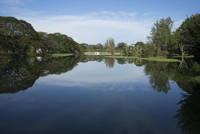 Reflection of trees in calm lake