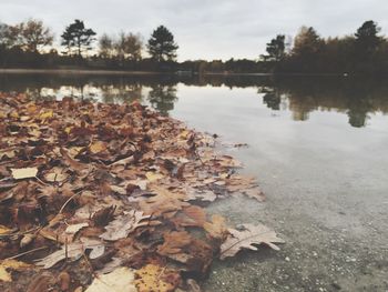 Scenic view of lake against sky during autumn