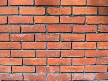 Full frame shot of brick wall