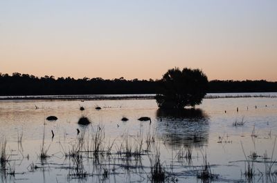 Scenic view of lake against sky during sunset