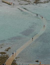 People enjoying at beach