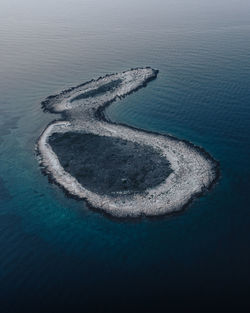 High angle view of turtle in sea