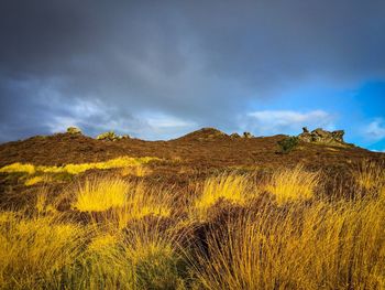 Scenic view of landscape against sky