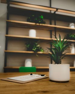 Potted plant on table at home