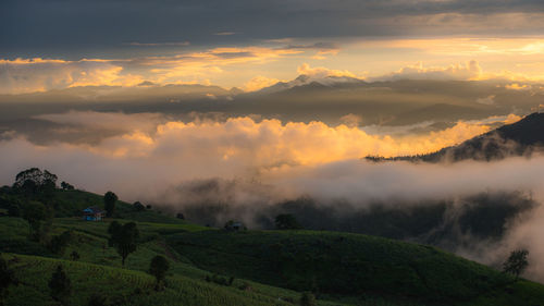 Scenic view of field against sky during sunset