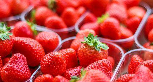 Close-up of strawberries