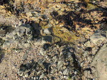 Full frame shot of rocks