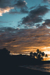 Silhouette trees against sky during sunset