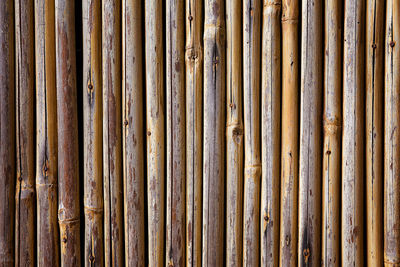 Full frame shot of bamboo wall