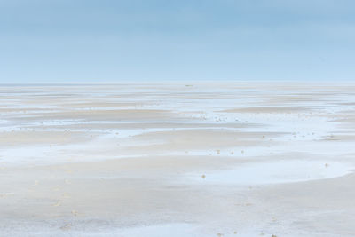 Close-up of beach against sky