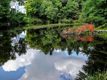 Reflection of trees in lake against sky