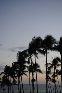 Silhouette palm trees on beach against clear sky at sunset