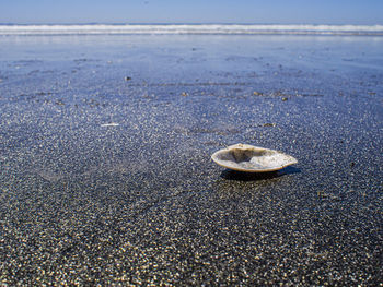 sea