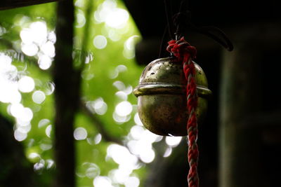 Bell hanging from roof