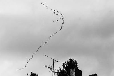 Low angle view of birds flying against cloudy sky