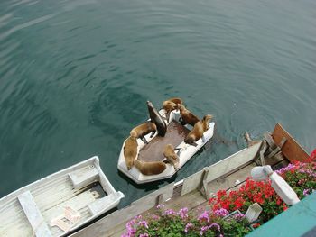 High angle view of boat in sea