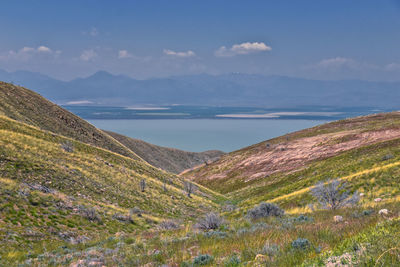 Scenic view of landscape against sky