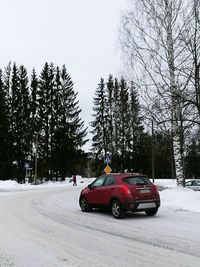 Car on snow covered trees