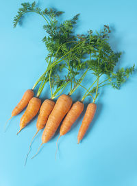 Close-up of fresh vegetables against blue background