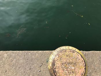 Close-up of lake