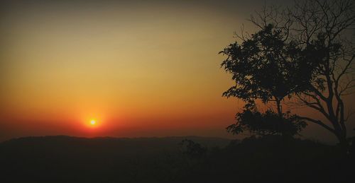 Silhouette tree against clear sky during sunset