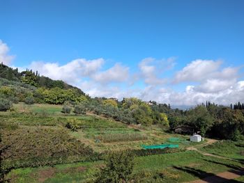 Scenic view of landscape against sky