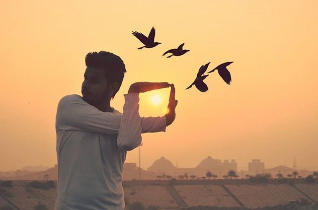 sunset, silhouette, orange color, flying, lifestyles, men, leisure activity, sky, bird, standing, mid-air, animal themes, clear sky, sun, outdoors, nature, landscape, rear view