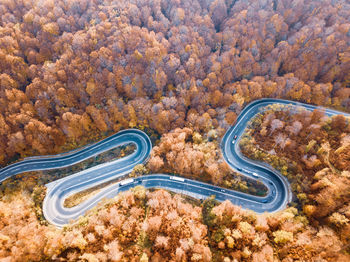 High angle view of road amidst plants in forest