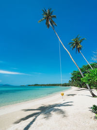 Scenic white sand beach, turquoise water and palm tree with swing. koh mak island, trat, thailand.