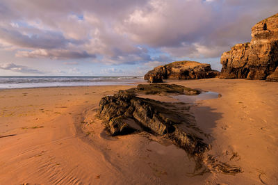 Driftwood on beach against sky during sunset