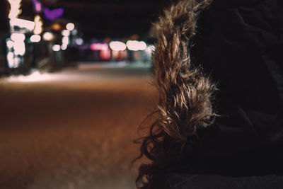 Close-up of illuminated plant in city at night