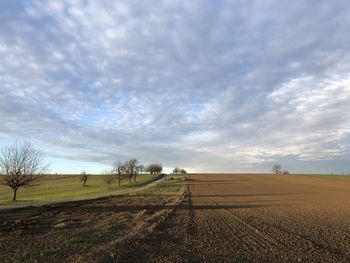 Scenic view of agricultural field against sky