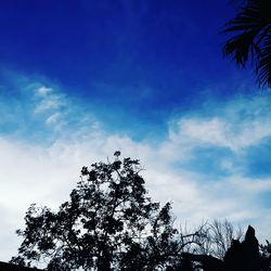 Low angle view of silhouette tree against sky