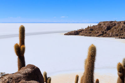 Scenic view of sea against clear sky