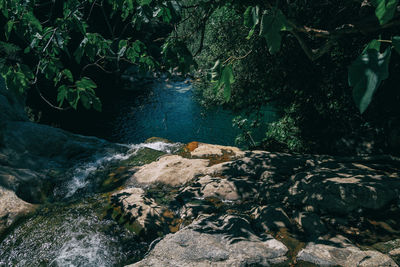 Scenic view of river flowing through rocks in forest