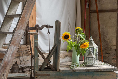 Close-up of flowers against built structure