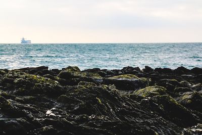 Scenic view of sea against clear sky