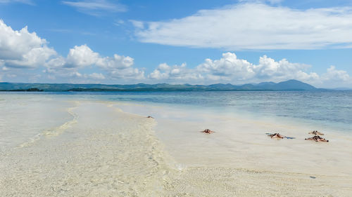 Scenic view of beach against sky