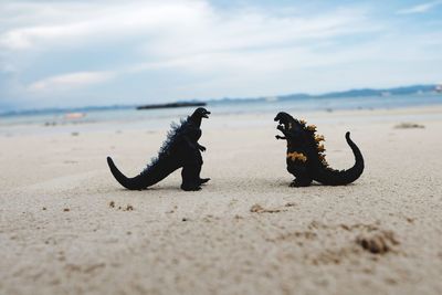 Close-up of an animal representation on beach