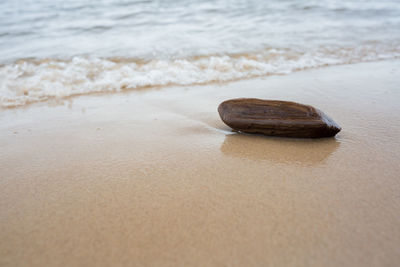 Surface level of sand on beach