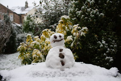 Snow man in front of trees