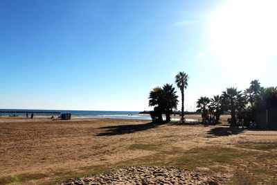 Scenic view of beach against clear sky