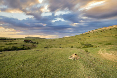 Scenic view of grassy field against sky