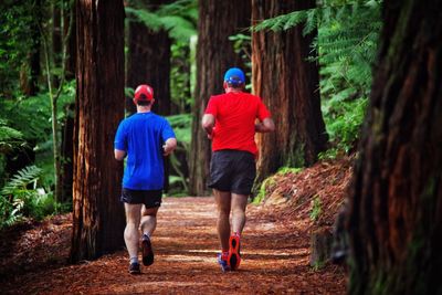 Rear view of men walking in forest