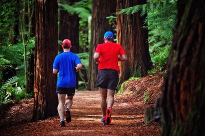 Rear view of men running in forest