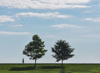 Trees on field against sky