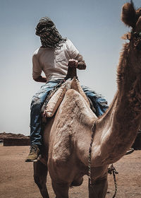 View of people riding horse against sky