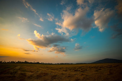 Scenic view of field against sky during sunset